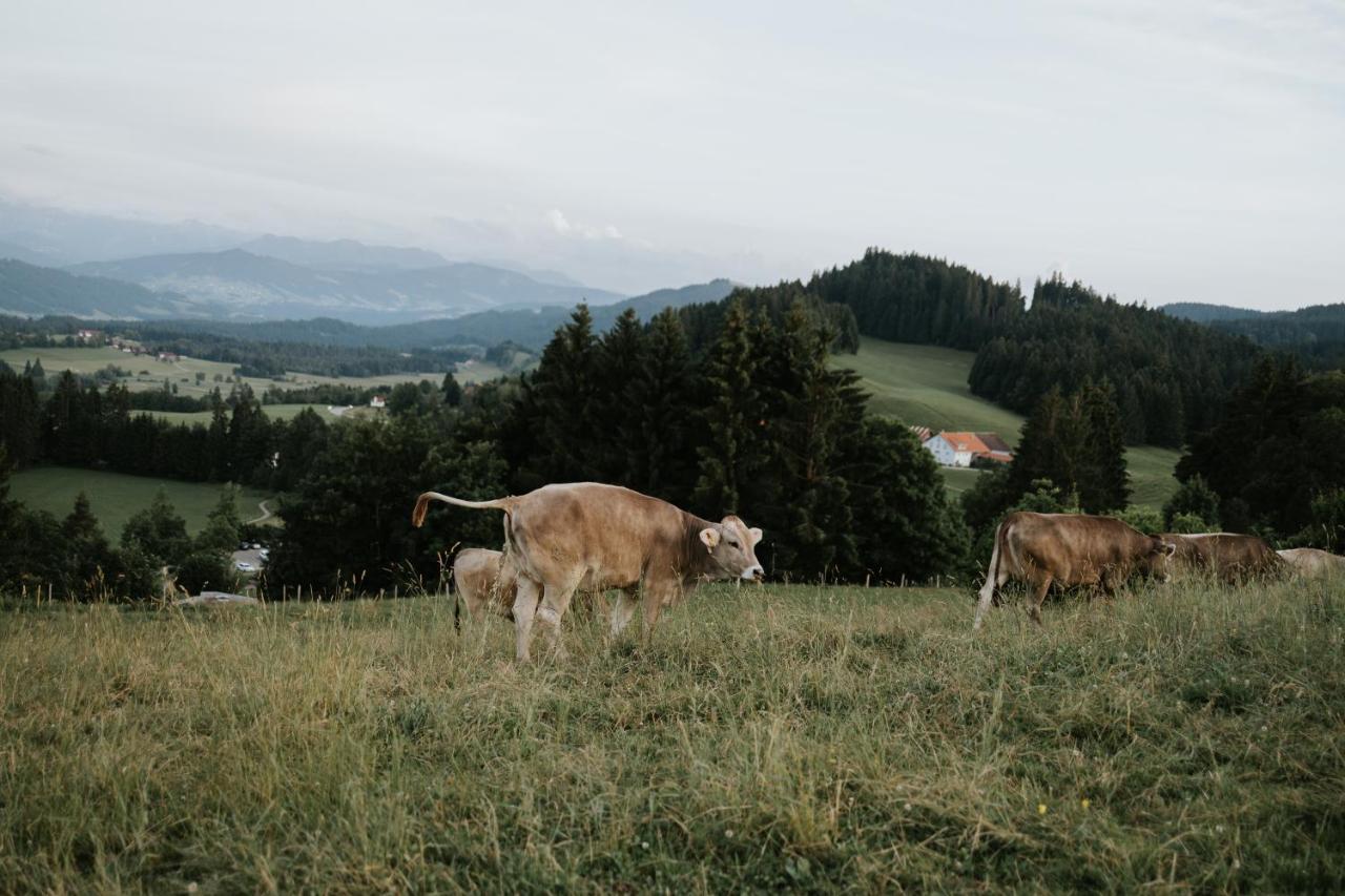 Ferienwohnung Alpenblick I Kamin I Private Sauna Ванген-им-Альгой Экстерьер фото